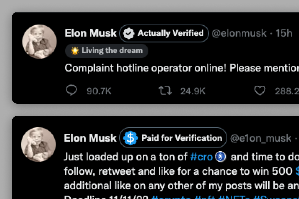 COVID contact tracing website